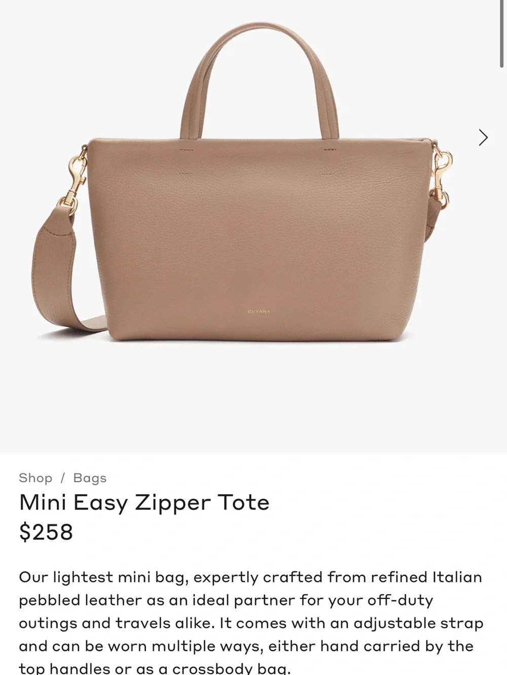 Cuyana Cappucino Mini Easy Zipper Tote